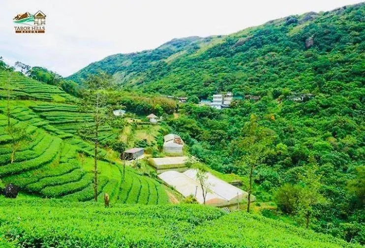 Tabor Hills Resort Vagamon India